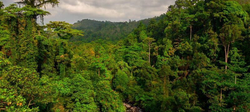 Indonesia's Battery Ambition: Can Industrial Growth and ESG Leadership Go Hand in Hand?