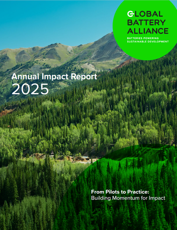 2025 Annual Impact Report
